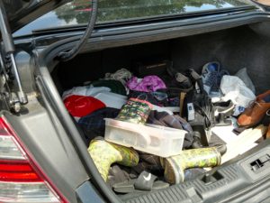 Junk in your trunk, Dr. Shannon Warden Junk in your trunk, Dr. Shannon Warden